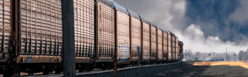 boxcar - left facing